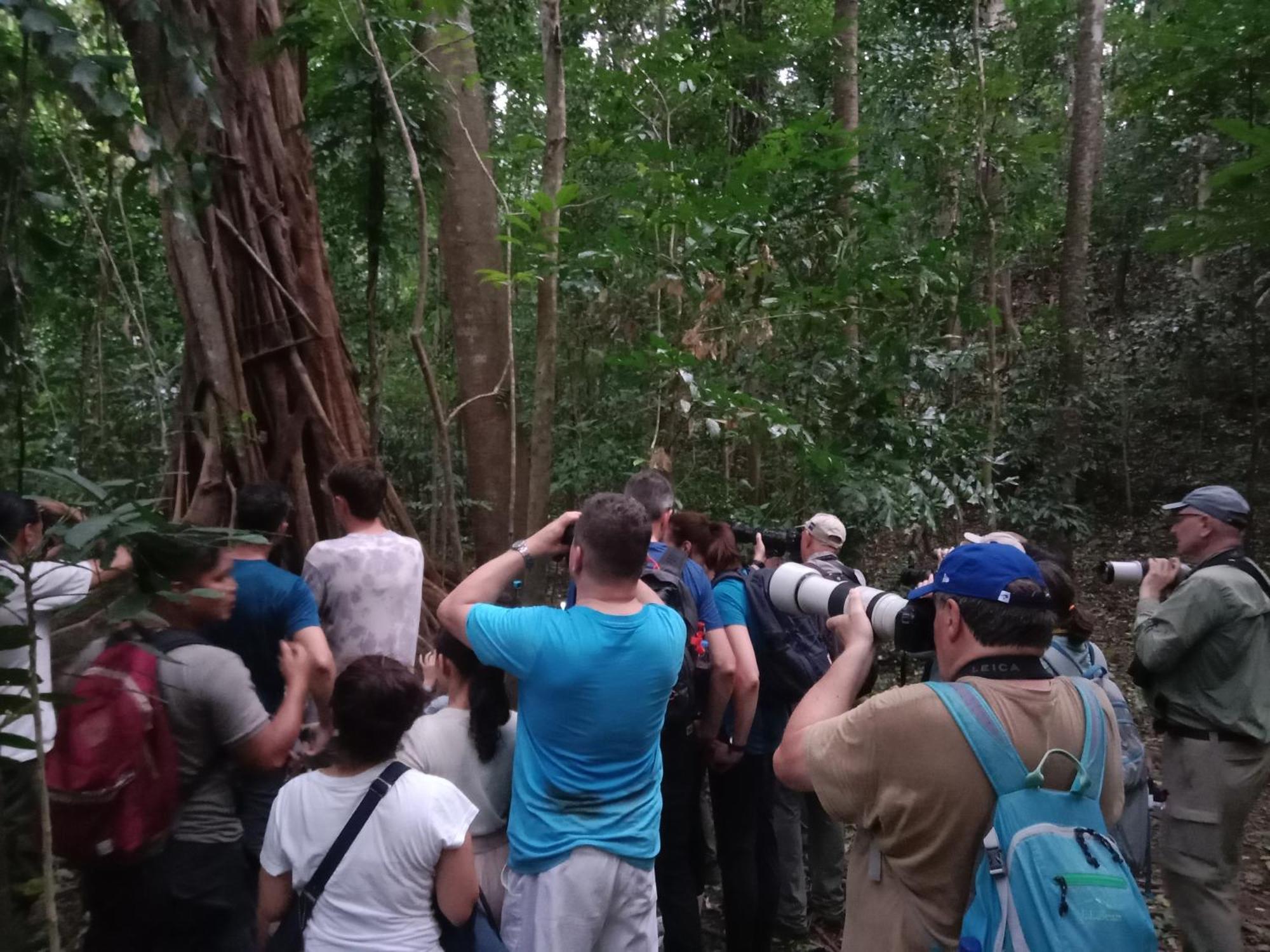 Tangkoko Backpacker Home Stay Rinondoran Bagian luar foto