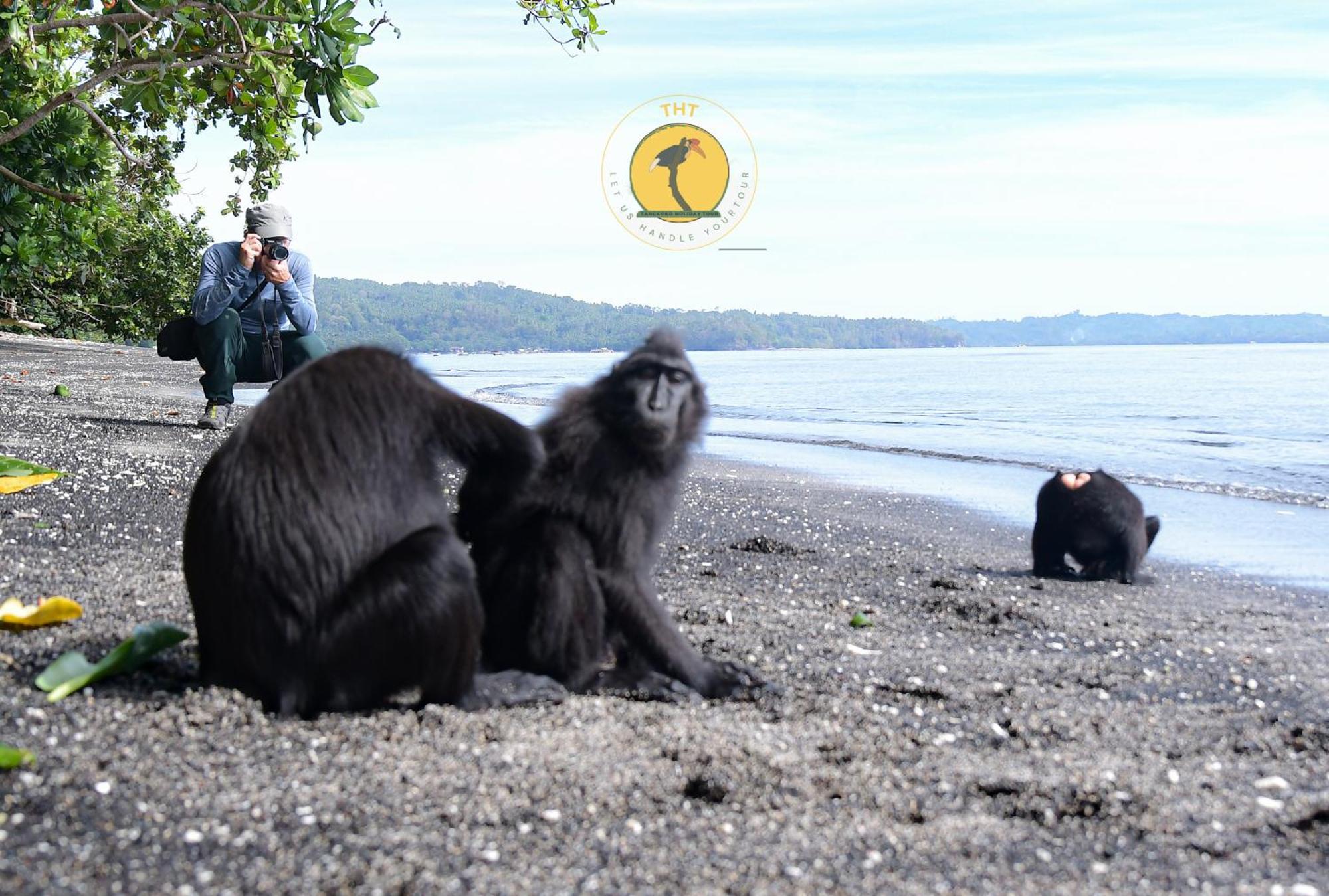Tangkoko Backpacker Home Stay Rinondoran Bagian luar foto
